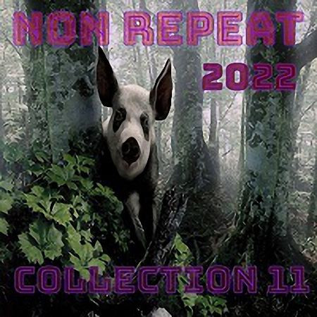VA - NON REPEAT (Collection 11) (2022)