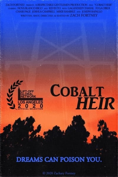 Cobalt Heir (2020) 1080p WEBRip x265-RARBG