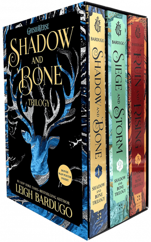 The Shadow and Bone Trilogy (& follow on books) by Leigh Bardugo