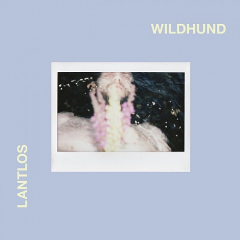 Lantlos - Wildhund (Deluxe Edition) (2021)
