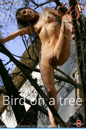 [Stunning18.com] 2021.07.26 Roza A - Bird on a Tree [Glamour] [3504x2336, 116 photos]