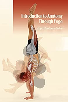 Introduction to Anatomy Through Yoga Yoga Anatomy Guide Yoga Anatomy