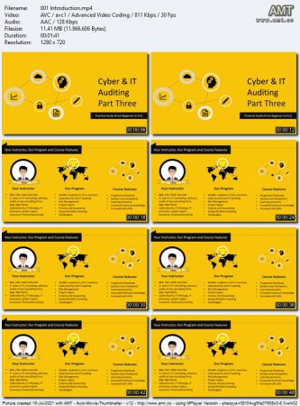 Practical Guide: Cyber & IT Auditing Audit Reporting