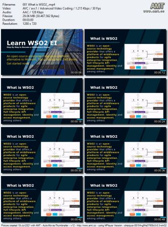 Learn WSO2 MI: a Step Guide to Master ESB & API Integration