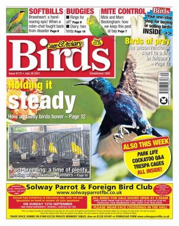 Cage & Aviary Birds   28 July 2021