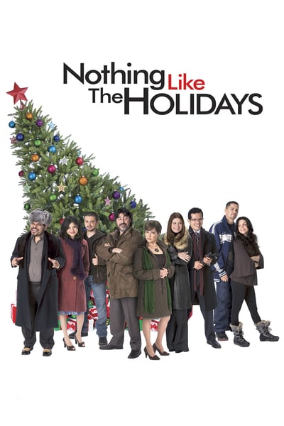 Nothing Like The HoliDays 2008 1080p BluRay x265-RARBG