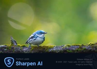 Topaz Sharpen AI 3.2.0 (x64)