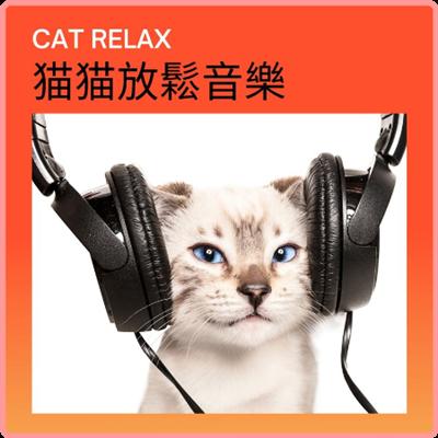 VA   CAT RELAX MUSIC (2021) Mp3 320kbps