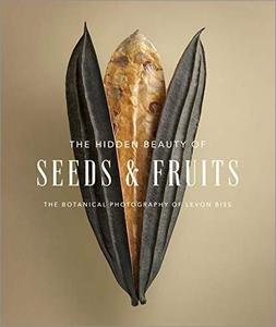 The Hidden Beauty of Seeds & Fruits The Botanical Photography of Levon Biss