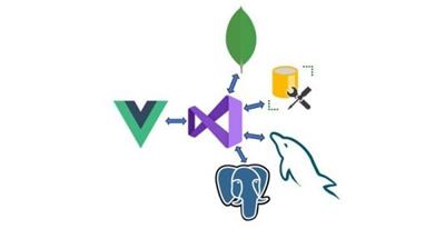 Vue  JS and .NET Core Web API Full Stack Master Course C48037112adef27ac86241f25a76ca08