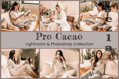 Cacao Lightroom Photoshop LUTs - 6364271