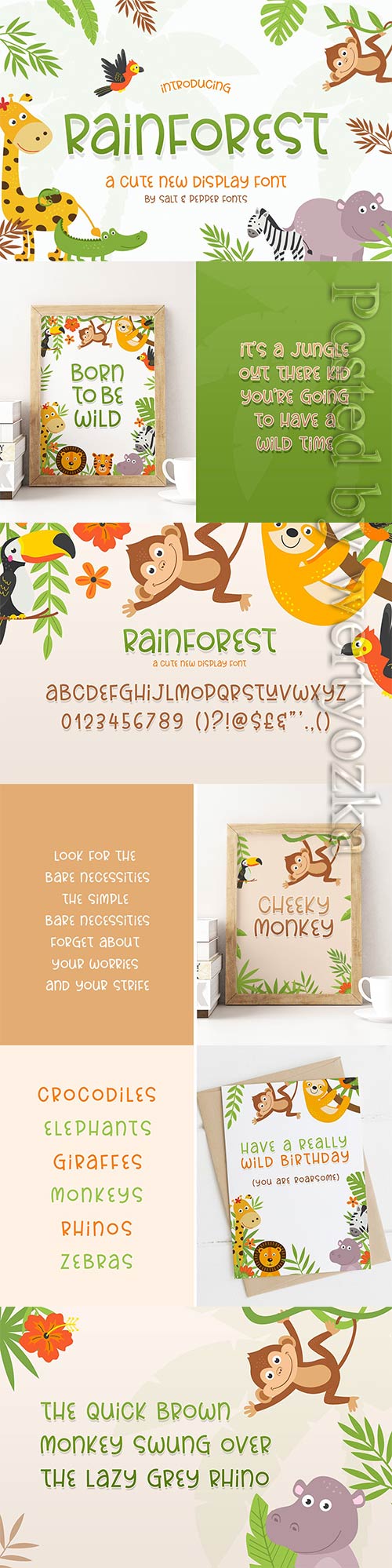 CM - Rainforest Font 6350177
