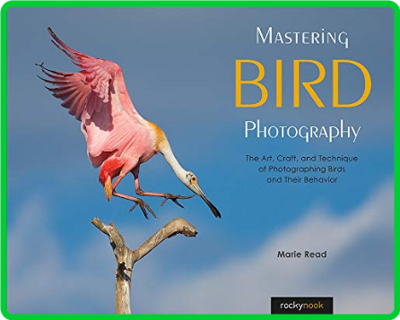 Mastering Bird Photography - The Art, Craft, and Technique of Photographing Birds ... 6e2f801fe38c5e641c2a1102c68fd0bc