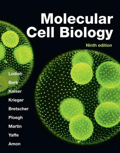 Molecular Cell Biology, 9th Edition
