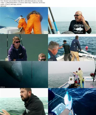 Wicked Tuna S10E20 720p HEVC x265 