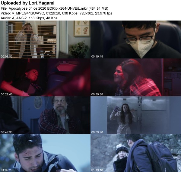 Apocalypse of Ice (2020) BDRip x264-UNVEiL