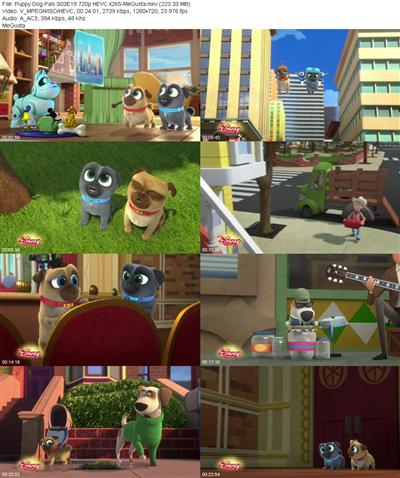 Puppy Dog Pals S03E19 720p HEVC x265 