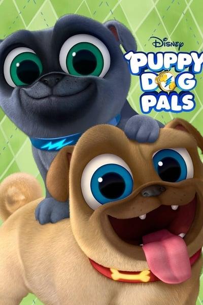 Puppy Dog Pals S03E20 720p HEVC x265 