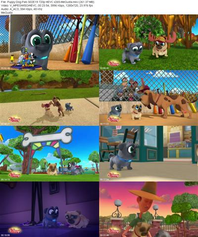 Puppy Dog Pals S02E19 720p HEVC x265 