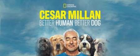 Cesar Millan Better Human Better Dog S01E02 720p HEVC x265-MeGusta