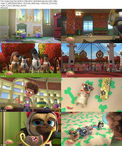 Puppy Dog Pals S03E16 720p HEVC x265 