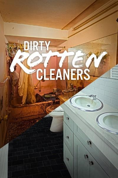 Dirty Rotten Cleaners S01E02 720p HEVC x265 