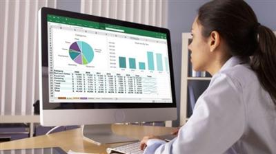 Excel Microsoft 365 Office Beginner course