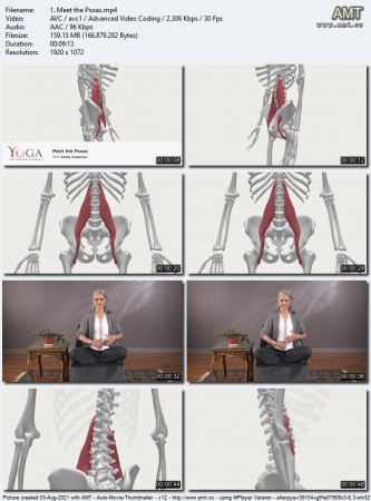 Yoga International   Relieve Tension in the Psoas