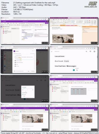 Learning  OneNote for the web (Office 365/Microsoft 365) 848be443bde71305211e44c712d196c9