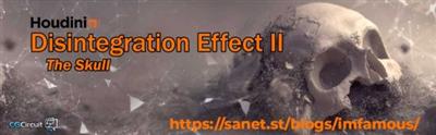 CG Circuit   Disintegration Effect II