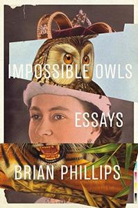 Impossible Owls Essays