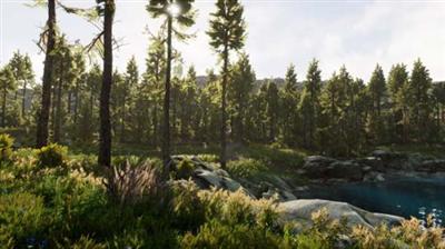Unreal Engine Asset Pack   Landscape Pro 3   Automatic Natural Environment Creation Tool (4.26)