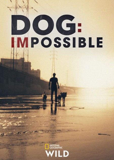 Dog Impossible S02E02 720p WEBRip x264-CBFM