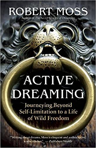 Active Dreaming: Journeying Beyond Self Limitation to a Life of Wild Freedom
