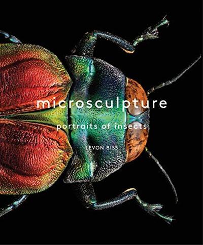 Microsculpture: Portraits of Insects [PDF]