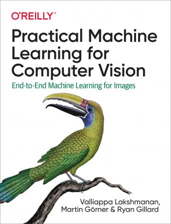 Practical Machine Learning for Computer Vision: End to End Machine Learning for Images (True EPUB)