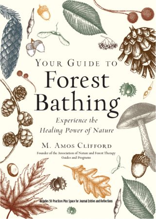 Your Guide to Forest Bathing: Experience the Healing Power of Nature, Expanded Edition