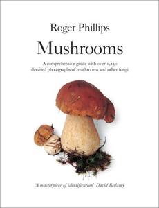 Mushrooms A Comprehensive Guide to Mushroom Identification