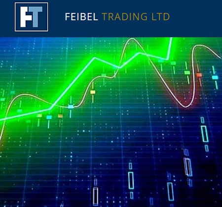 Feibel Trading - Multiple Time Frames: The Modern Edge (MTF)
