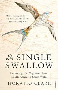 A Single Swallow Following An Epic Journey From South Africa To South Wales