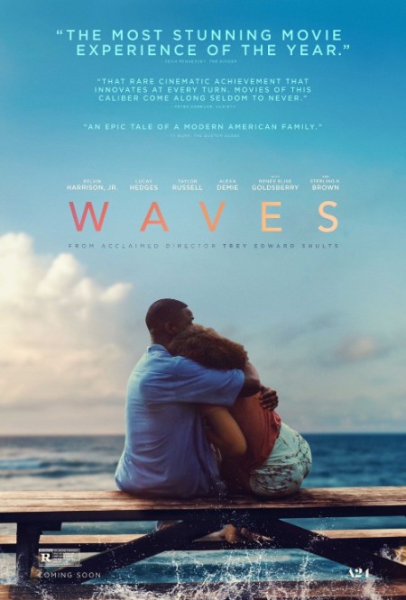 Waves 2019 2160p BluRay REMUX HEVC DTS-HD MA TrueHD 7 1 Atmos-FGT