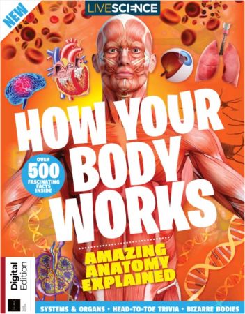 How Your Body Works   3rd Edition 2021