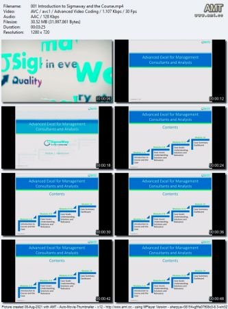 SigmaWay's Advanced Excel Course