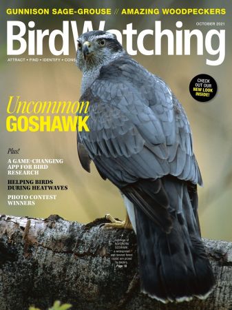 BirdWatching USA   October 2021