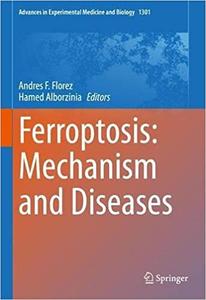 Ferroptosis Mechanism and Diseases