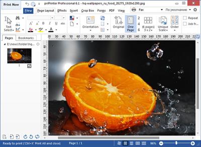 priPrinter  Professional 6.6.0.2526 Beta Multilingual