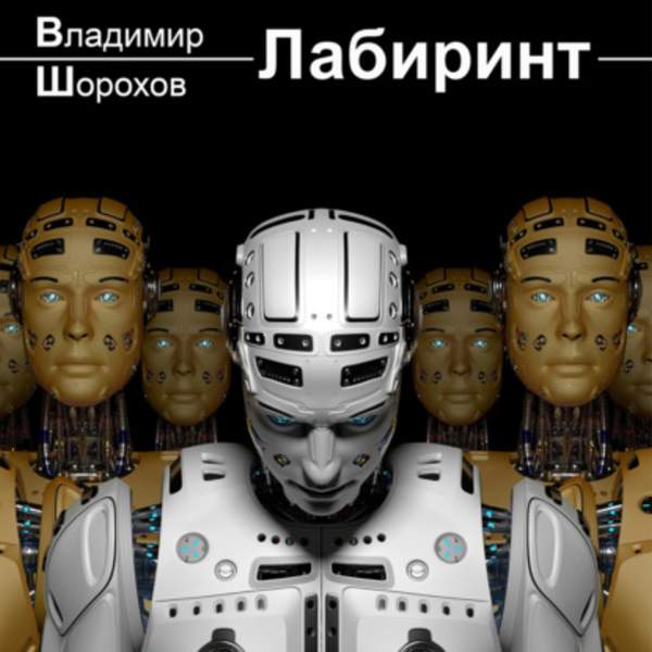 Владимир Шорохов - Лабиринт (Аудиокнига)