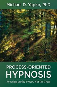 Process-Oriented Hypnosis Focusing on the Forest, Not the Trees