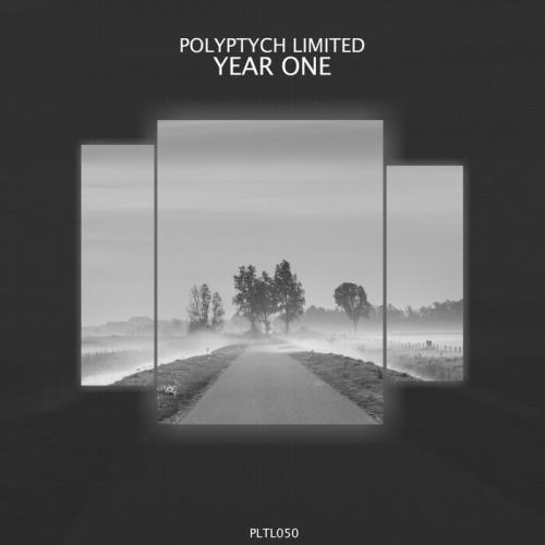 Polyptych Limited: Year One (2021)