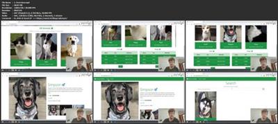Build  An Animal Shelter Website with Django for Beginners 7884ccfaee4a7422fcd68caecb51d717